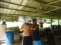 /album/galeria-de-fotos/dsc00309-jpg/